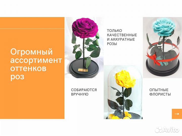 Роза в колбе. От производителя