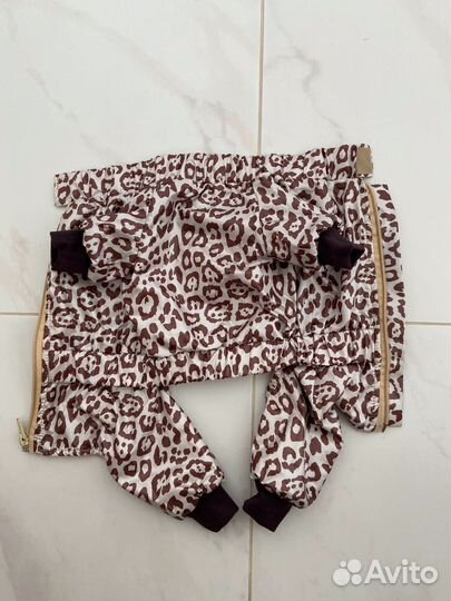 Дождевик для собак мелких пород