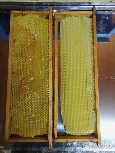 Рамки для ульев