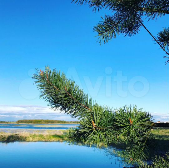 Дом 60 м² на участке 28,9 сот.