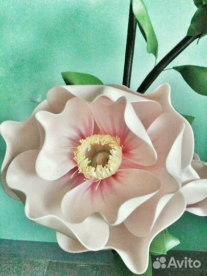 Ве тка магнолии