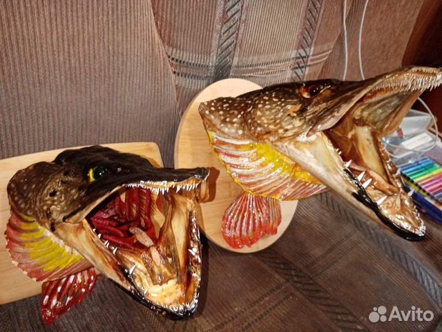 Чучело щуки ручной работы