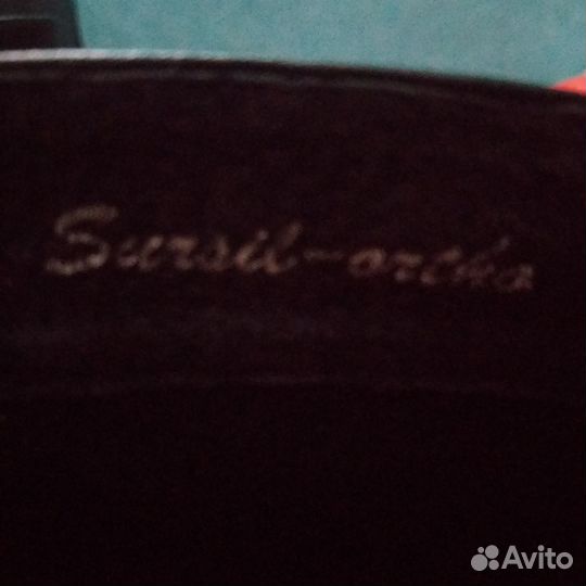 Сапоги на девочку демисизонные