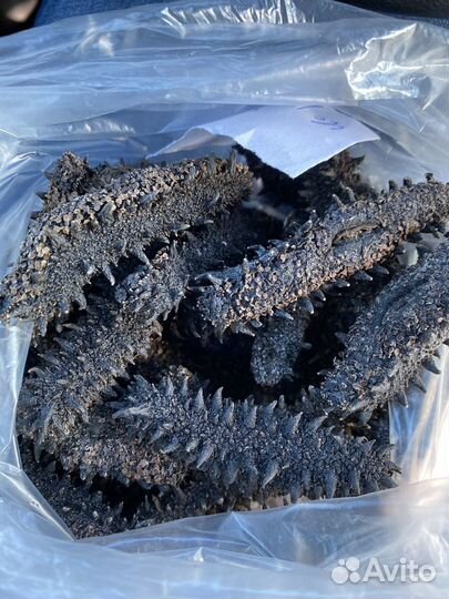 Сушеный (сухой) трепанг и варено-мороженый