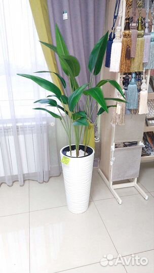 Декор для дома