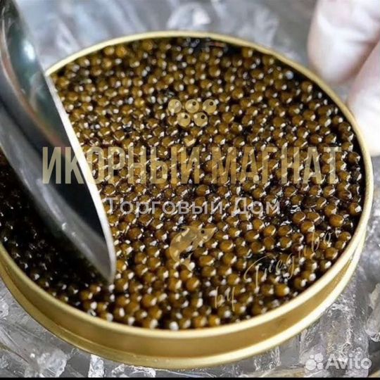 Черная икра от производителя