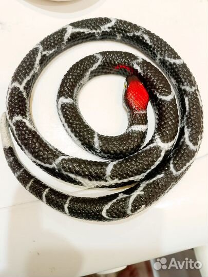 Резиновая змея