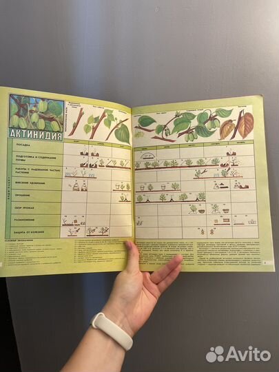 Рабочие таблицы по уходу за ягодными культурами