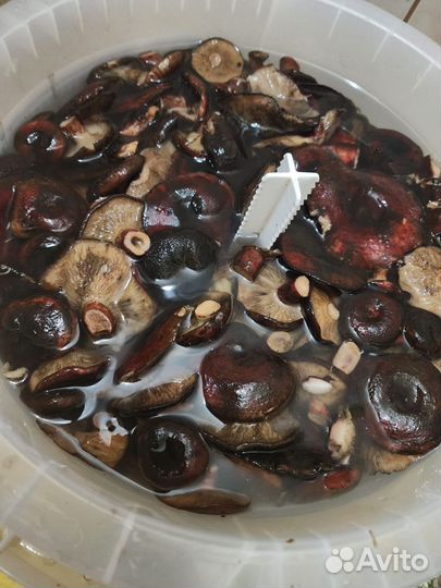 Продам соленые грузди