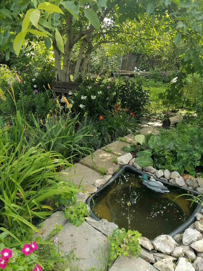 Дача 60 м² на участке 12,5 сот.