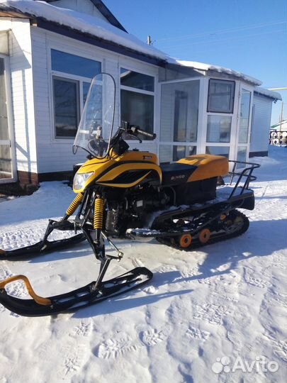 Dingo T150 2015