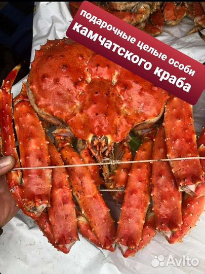 Камчатский королевский краб