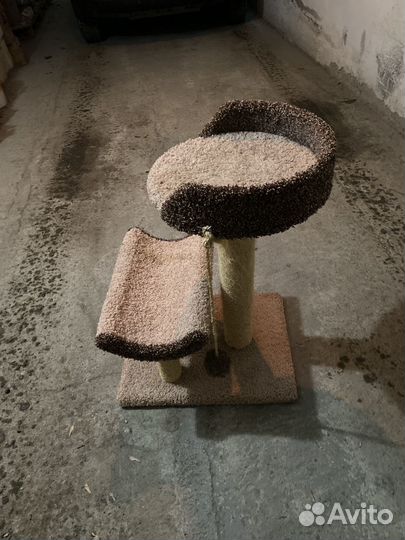 Когтеточка домик для кошки бу