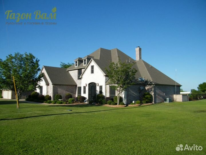 Газон рулонный делюкс