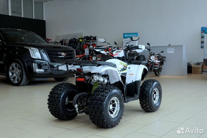 Avantis Hunter 8 New Premium