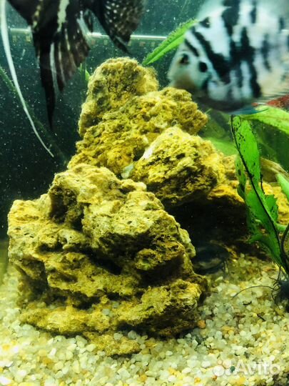 Камень песчаник в аквариум, грот