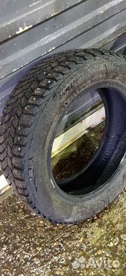 Viatti Bosco Nordico V-523 205/55 R16