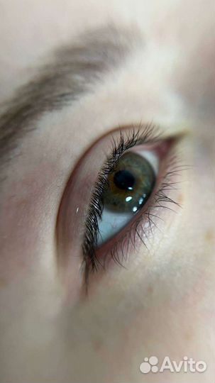 Ламинирование бровей