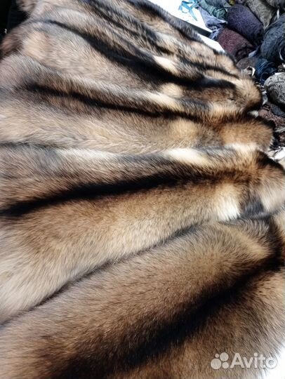 Енотовидная собака натуральный мех, шкурки