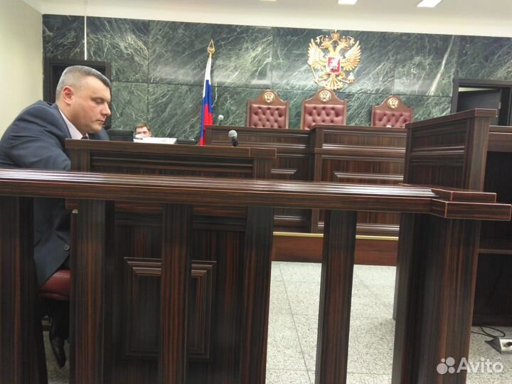 Адвокат по уголовным делам / Судебная защита