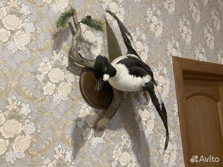 Чучело утки