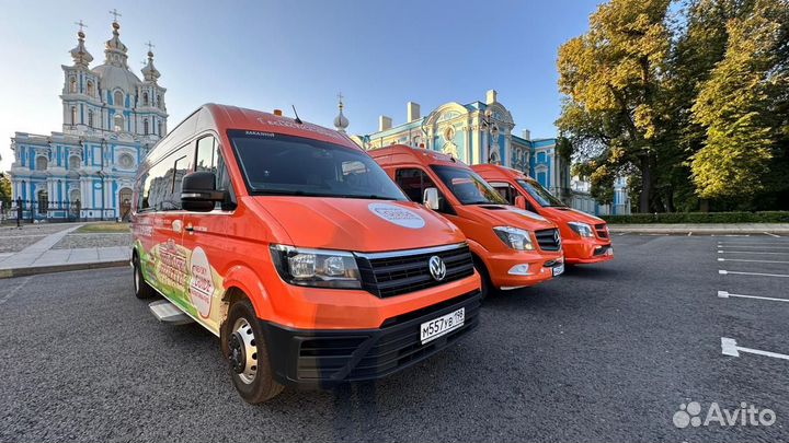 Водитель туристического микроавтобуса