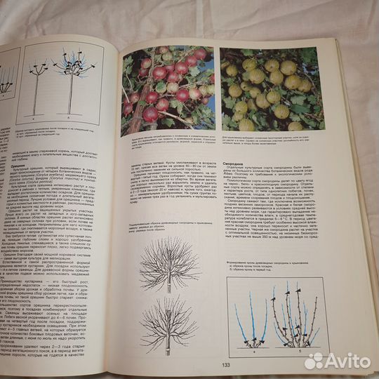 Энциклопедия садовода