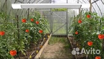 Обогреватель для теплиц и курятников