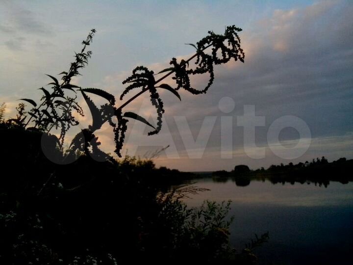 Дом 85 м² на участке 23 сот.