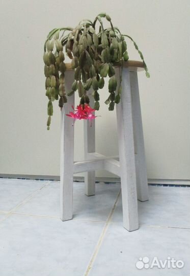 Цветок вместе с подставкой