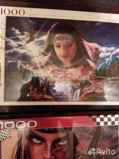 Пазлы 1000