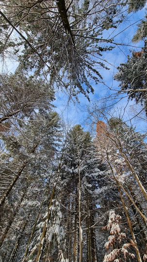 Коттедж 107 м² на участке 4,5 сот.