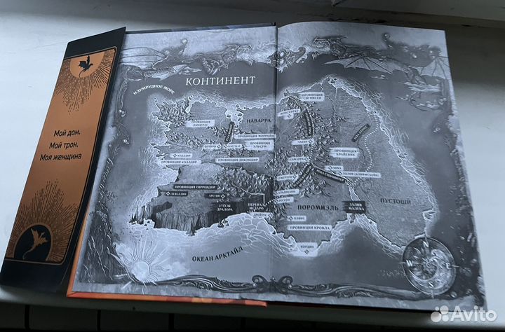 Четвертое крыло книга