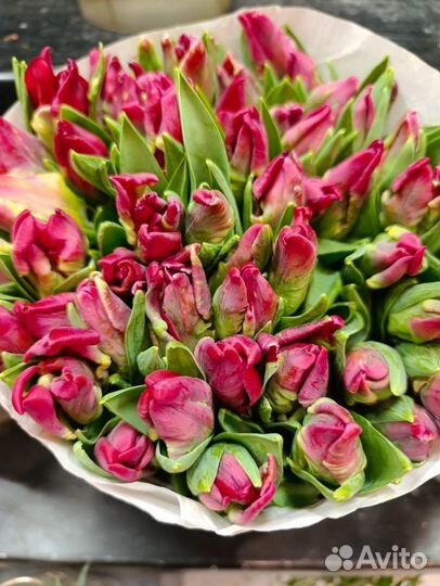 Букет из тюльпанов