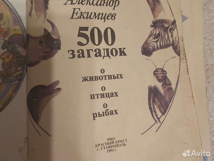 Книга загадок