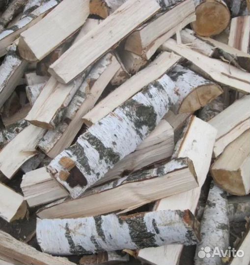 Дрова береза