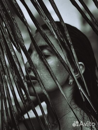 Фотограф и видеограф