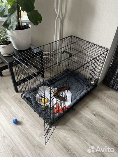 Вольер для собак бу