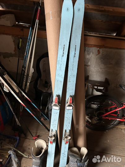 Горные лыжи