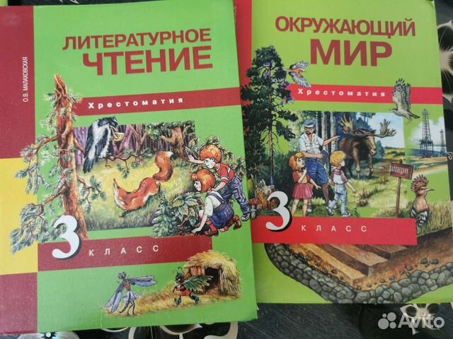 Окружающий мир и литературное чтение 3 класс
