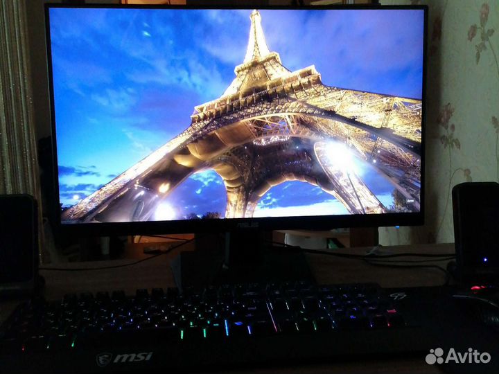 Монитор asus 24