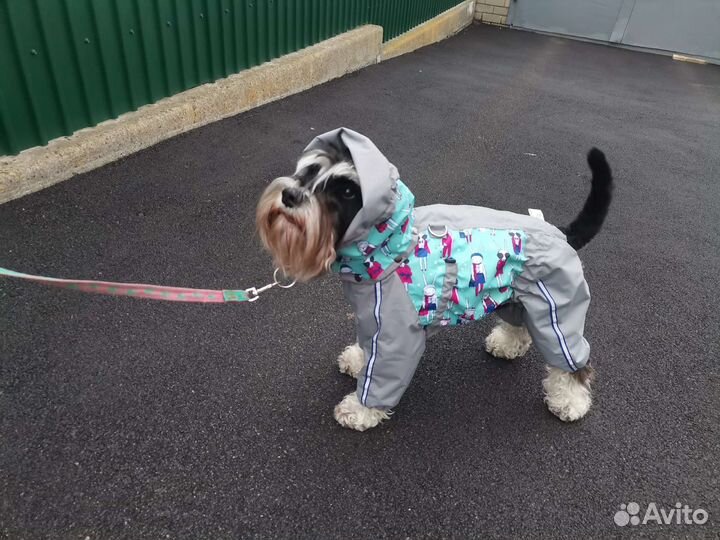 Одежда для собак