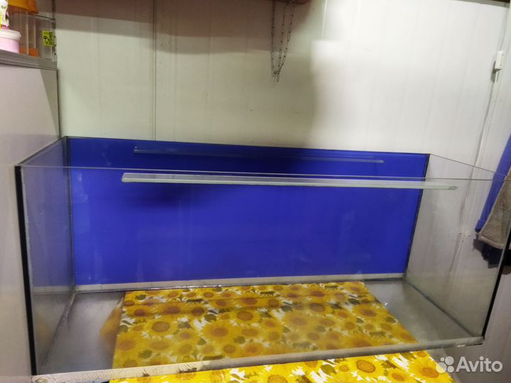 Аквариум 240л
