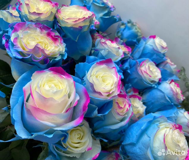 Синие розы радужные розы доставка цветов нур