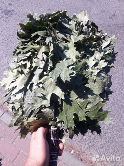 Банные веники и травы для бани