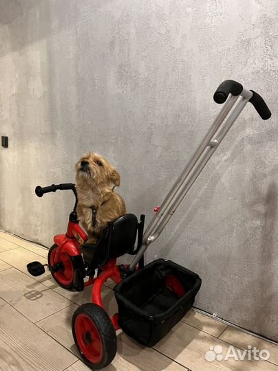 Трехколесный велосипед с родительской ручкой