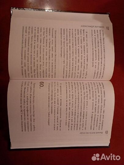 Книга Александр Литвин победитель проекта 