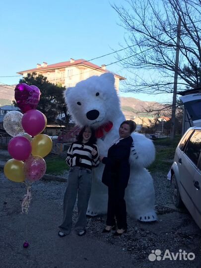 Белый мишка поздравление