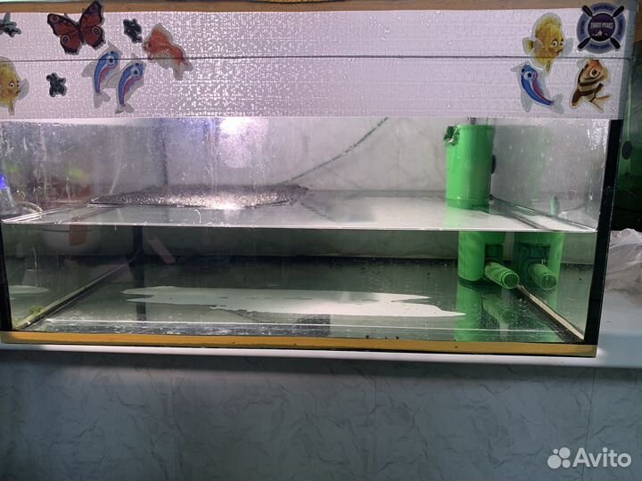 Аквариум для красноухой черепахи