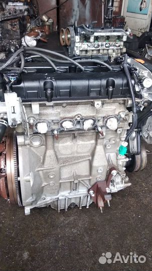 Двигатель ford duratec-TI 1.6L iqdb hxda pnda pnba
